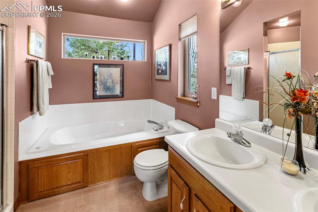 938 Spring Valley Lane Florissant CO 80816