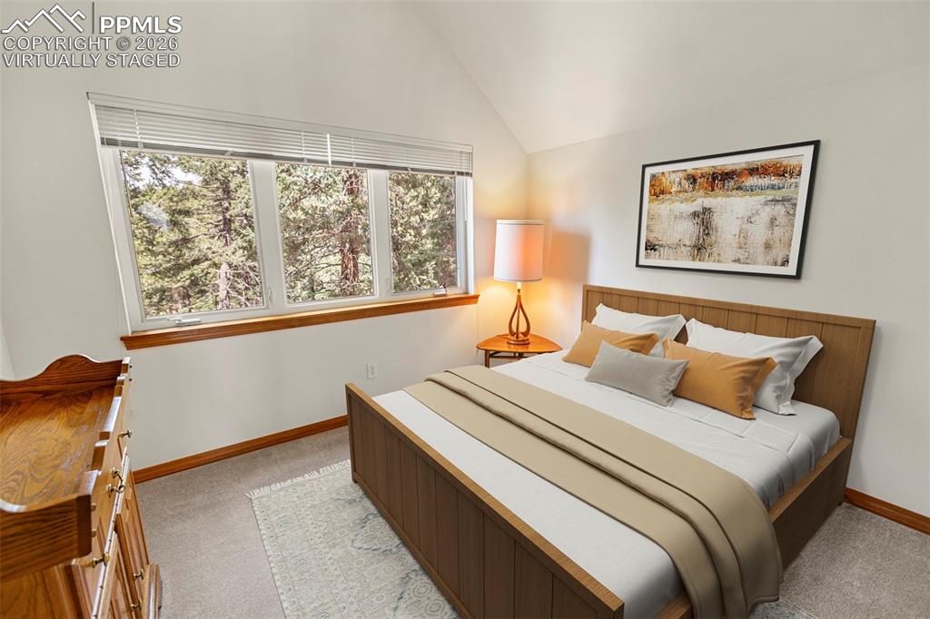 938 Spring Valley Lane Florissant CO 80816
