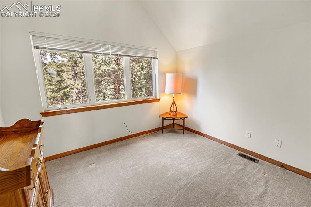 938 Spring Valley Lane Florissant CO 80816