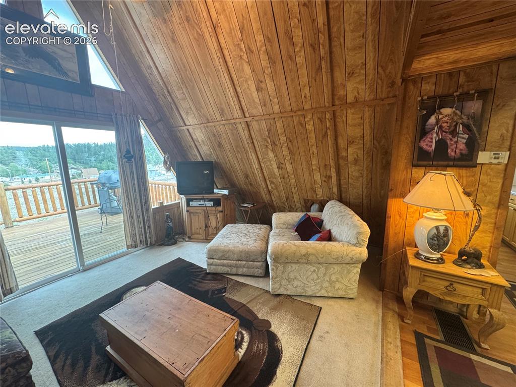 15 Dogie Trail Florissant CO 80816