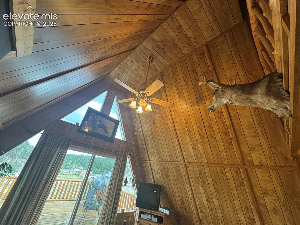15 Dogie Trail Florissant CO 80816