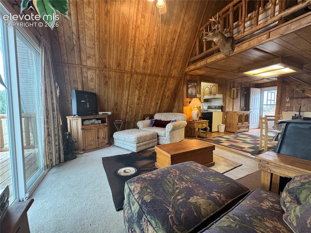 15 Dogie Trail Florissant CO 80816