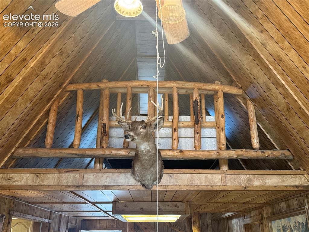 15 Dogie Trail Florissant CO 80816