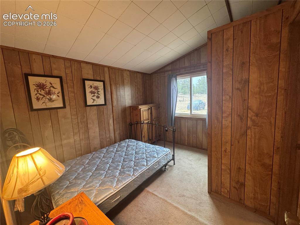 15 Dogie Trail Florissant CO 80816