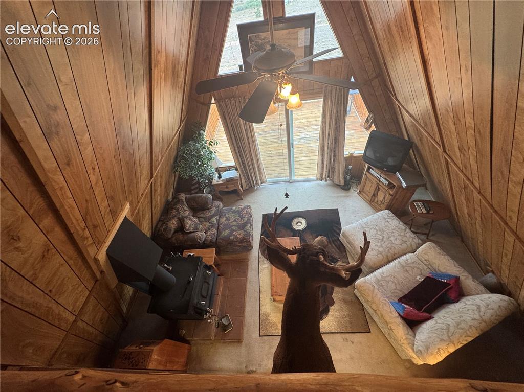 15 Dogie Trail Florissant CO 80816