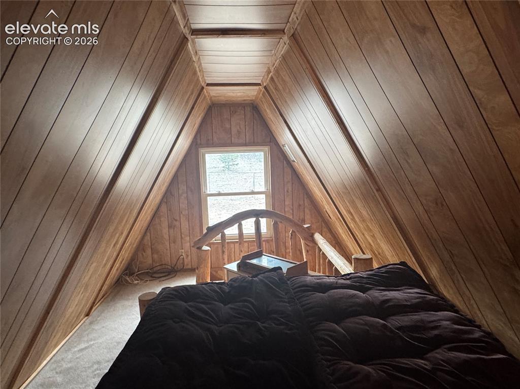 15 Dogie Trail Florissant CO 80816
