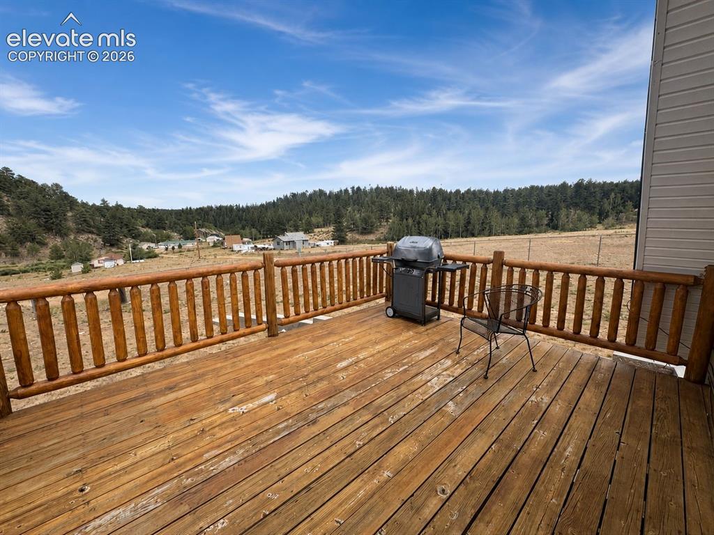 15 Dogie Trail Florissant CO 80816
