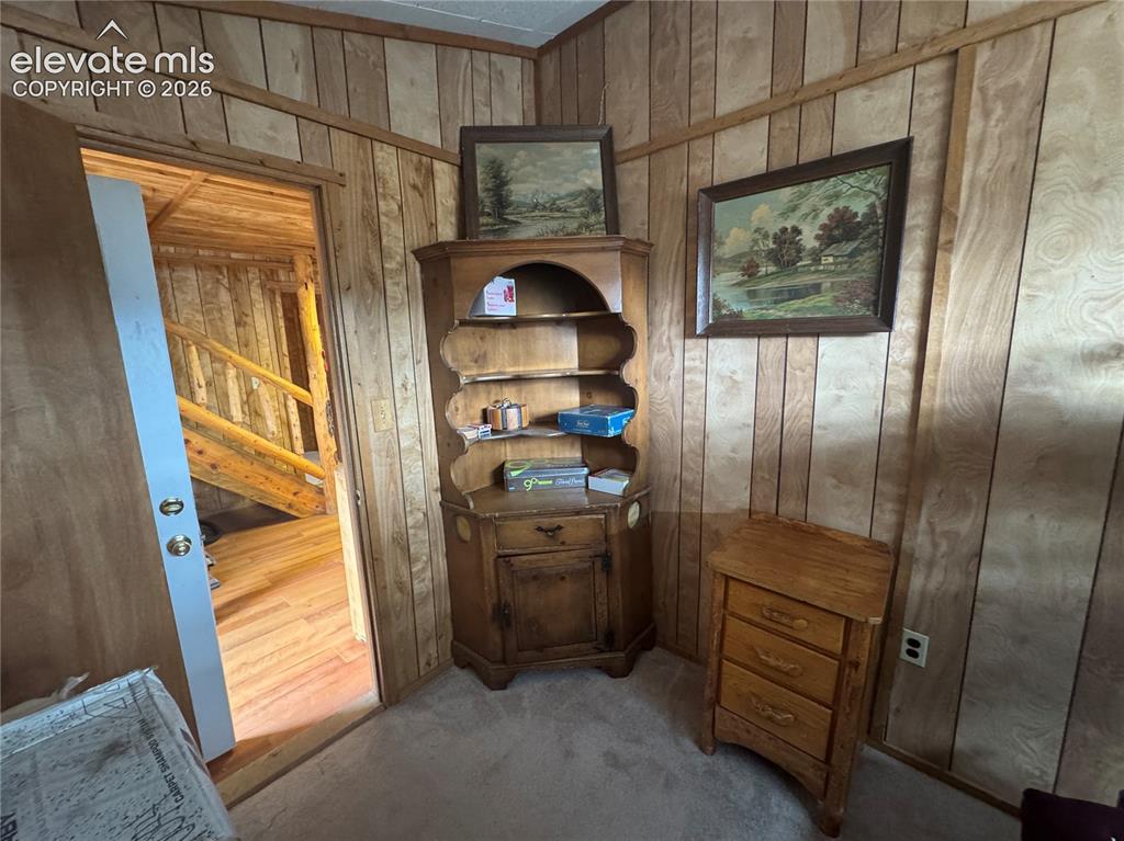 15 Dogie Trail Florissant CO 80816