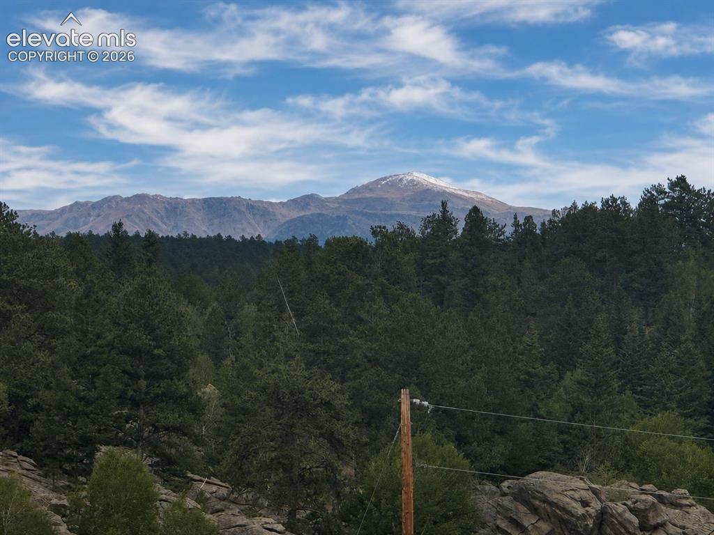 15 Dogie Trail Florissant CO 80816