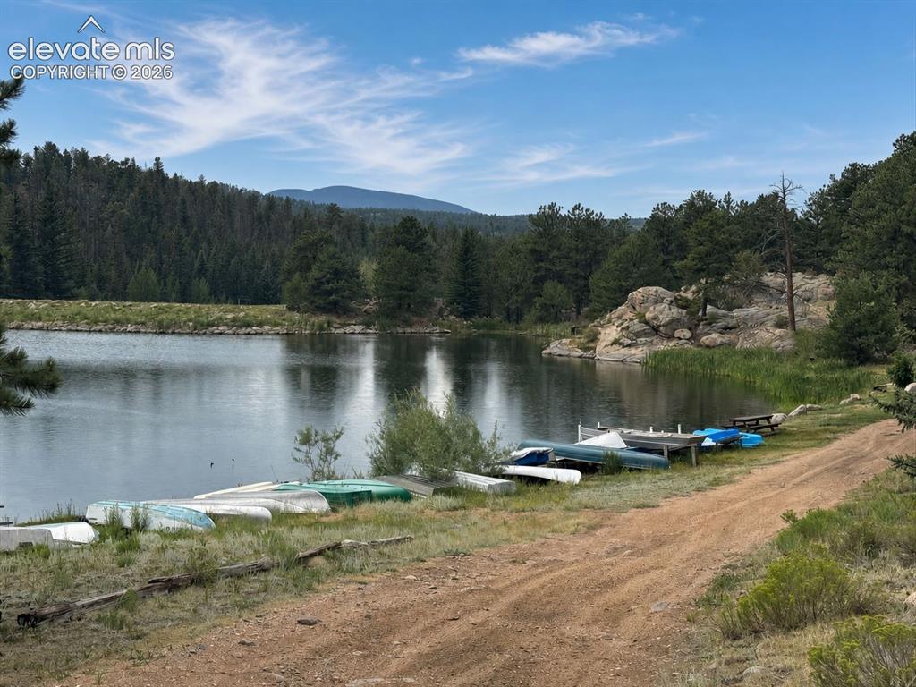 15 Dogie Trail Florissant CO 80816