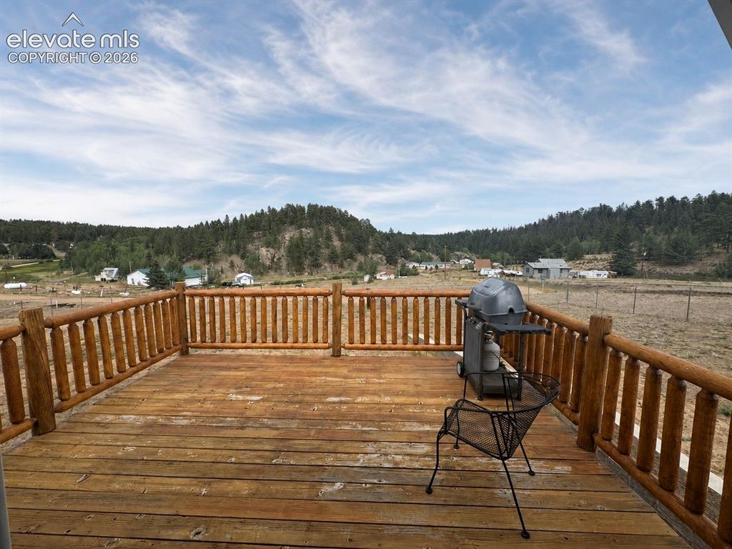 15 Dogie Trail Florissant CO 80816