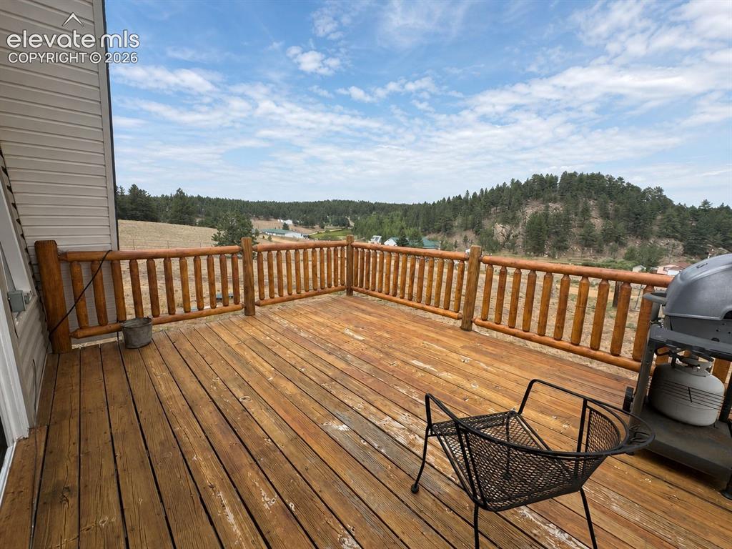 15 Dogie Trail Florissant CO 80816