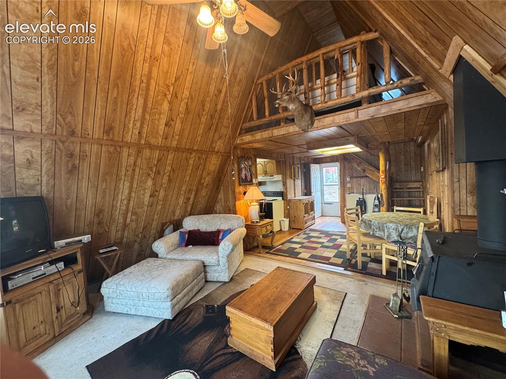15 Dogie Trail Florissant CO 80816