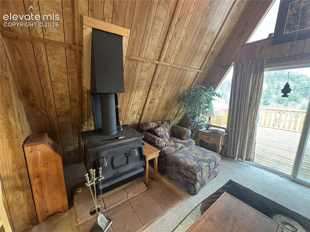 15 Dogie Trail Florissant CO 80816