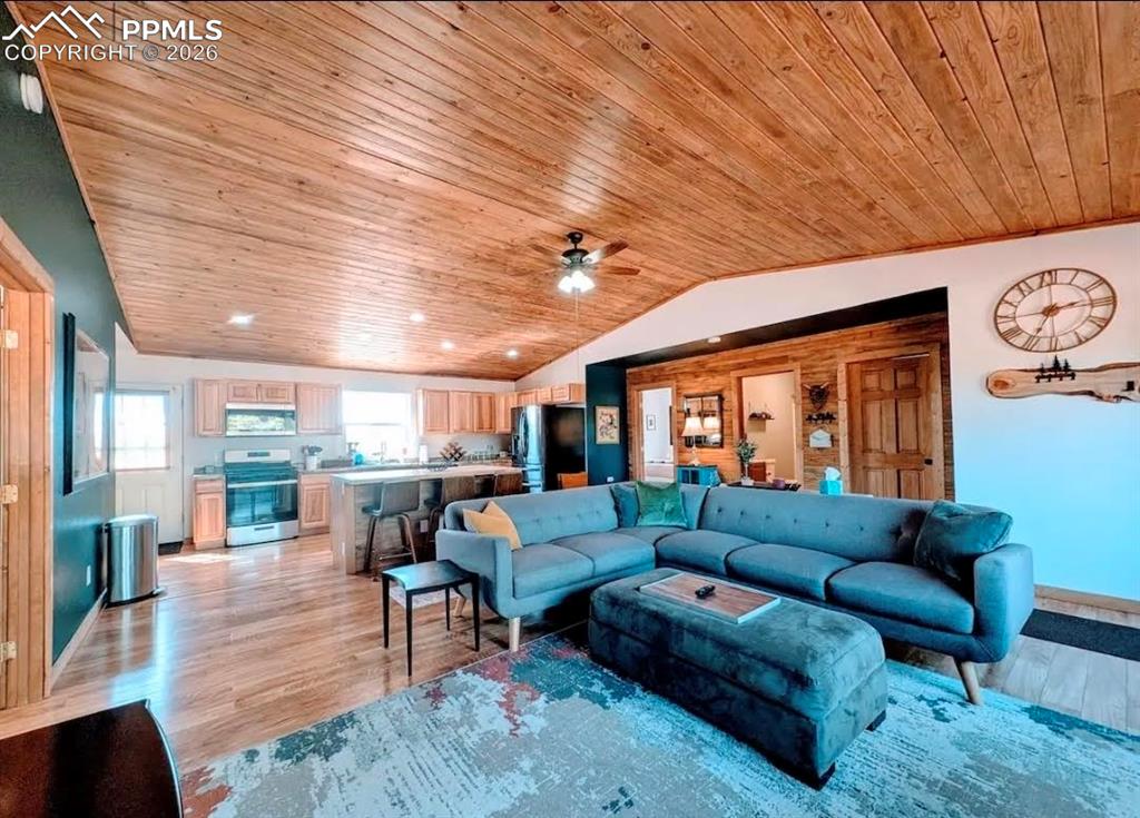 23 Nimbus Lane Florissant CO 80816
