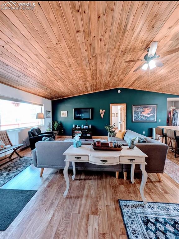 23 Nimbus Lane Florissant CO 80816