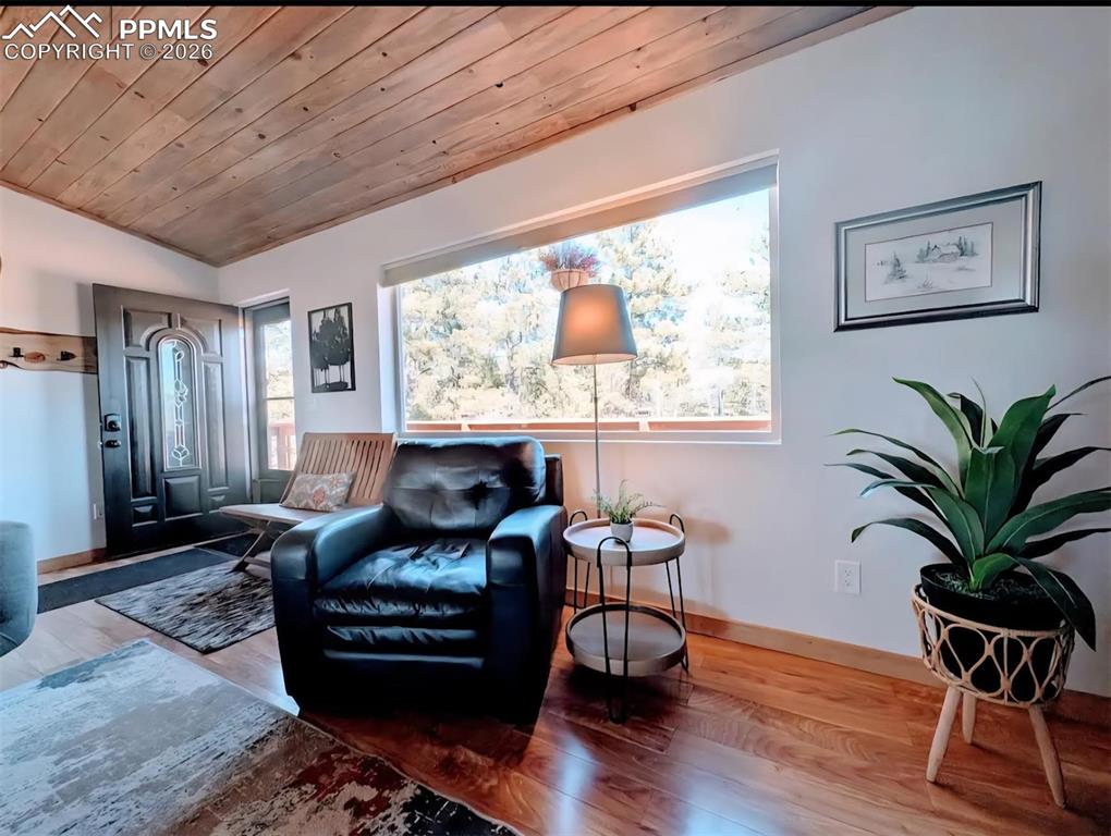 23 Nimbus Lane Florissant CO 80816