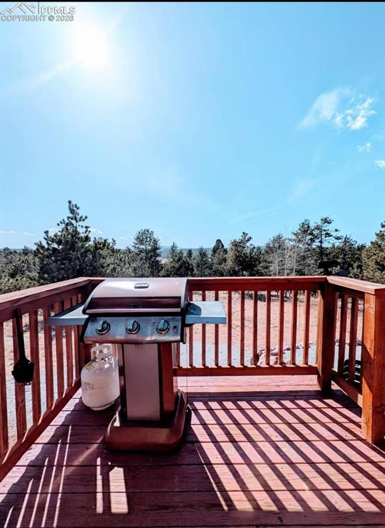 23 Nimbus Lane Florissant CO 80816