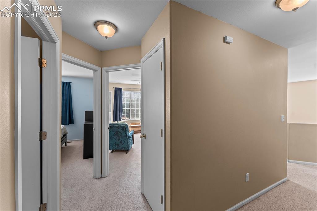 4838 Hawk Meadow Drive Colorado Springs CO 80916
