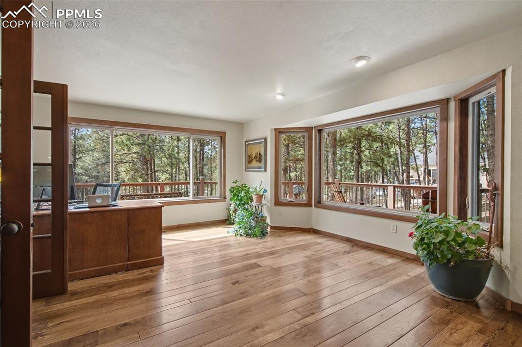 230 Blue Garter Way Monument CO 80132