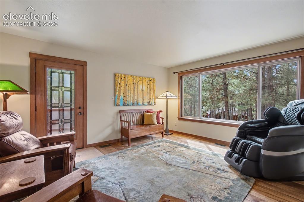 230 Blue Garter Way Monument CO 80132