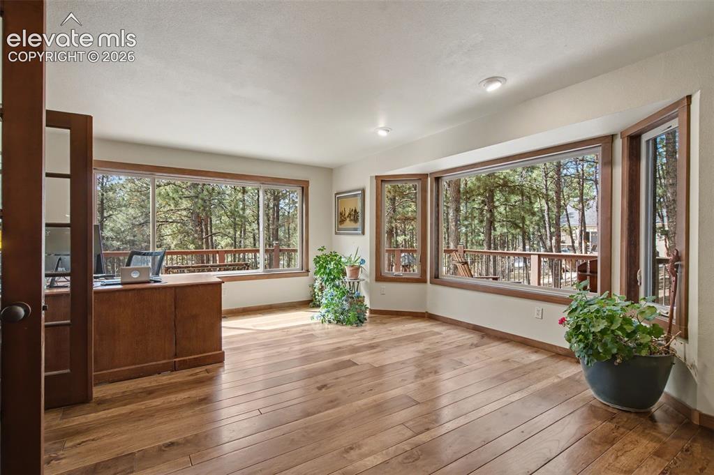 230 Blue Garter Way Monument CO 80132