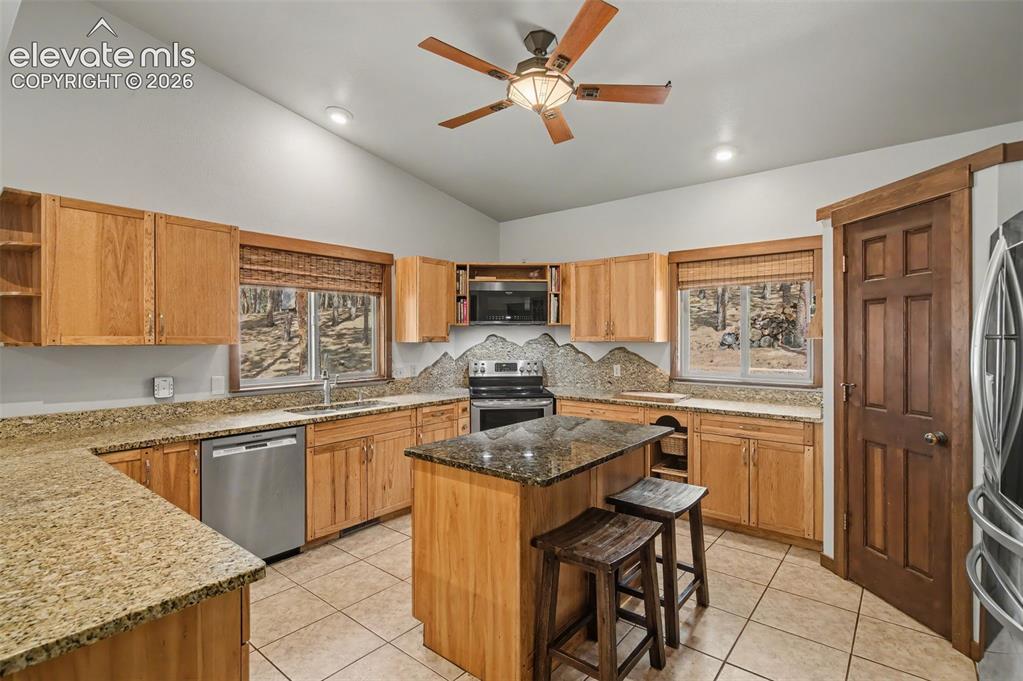 230 Blue Garter Way Monument CO 80132