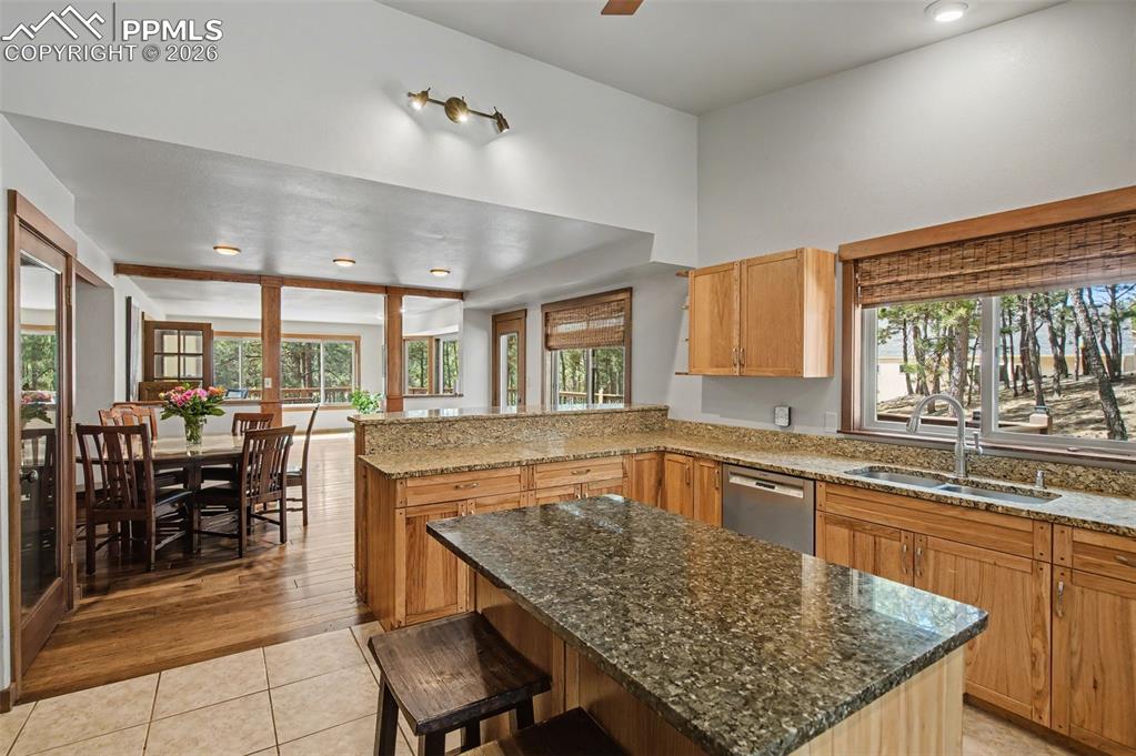 230 Blue Garter Way Monument CO 80132