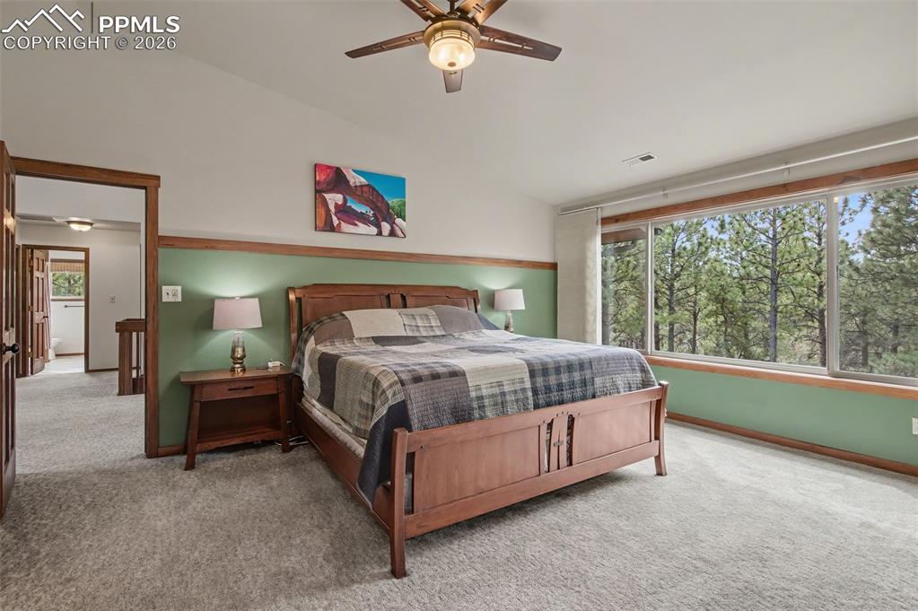 230 Blue Garter Way Monument CO 80132