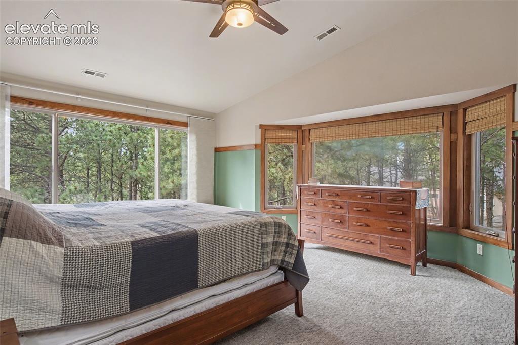 230 Blue Garter Way Monument CO 80132