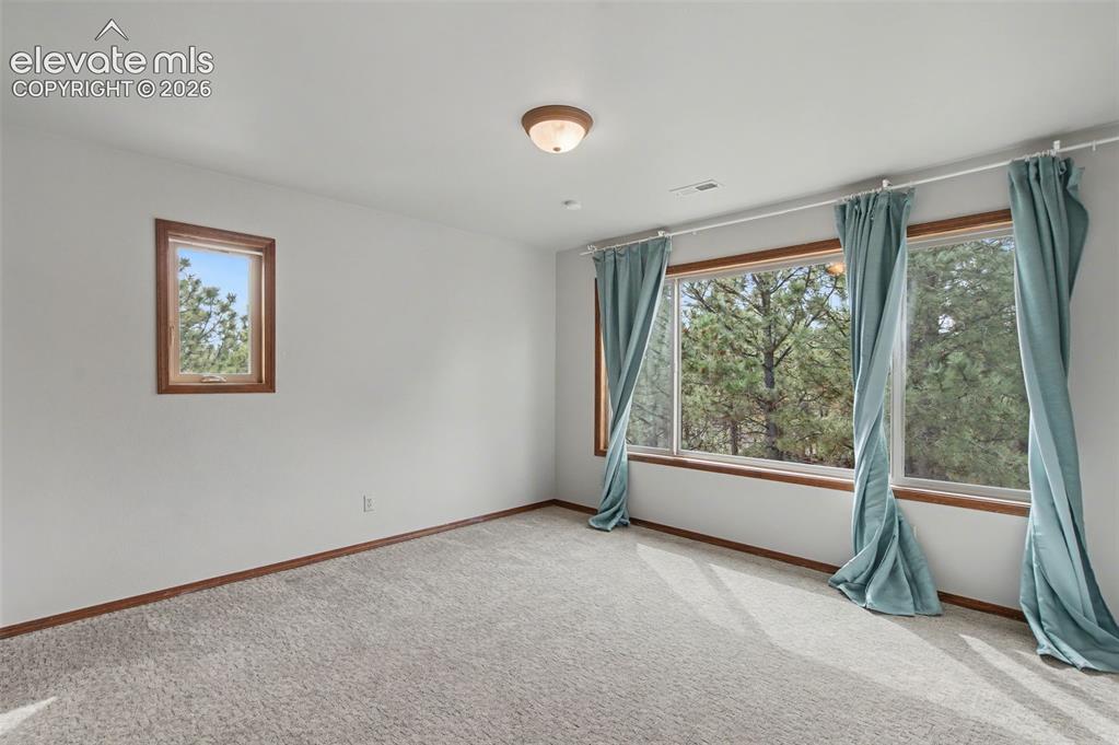 230 Blue Garter Way Monument CO 80132