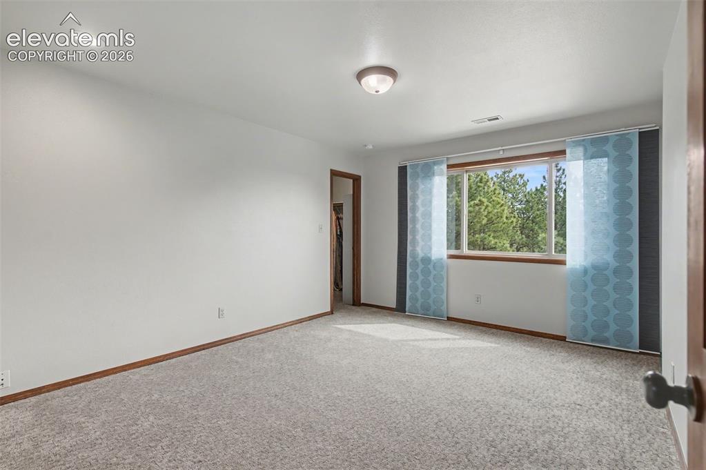 230 Blue Garter Way Monument CO 80132