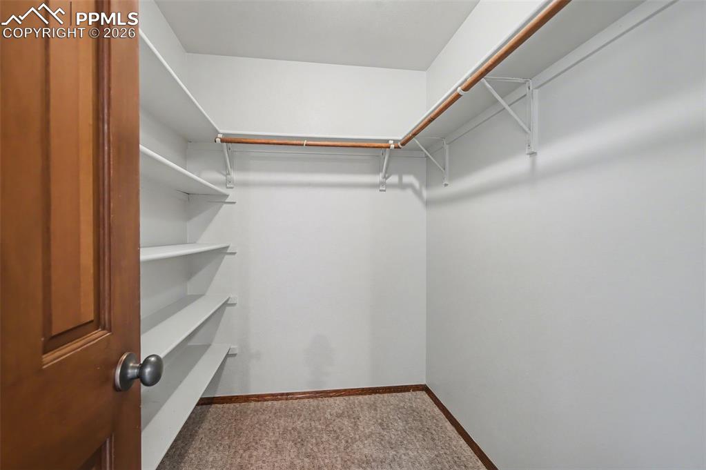 230 Blue Garter Way Monument CO 80132