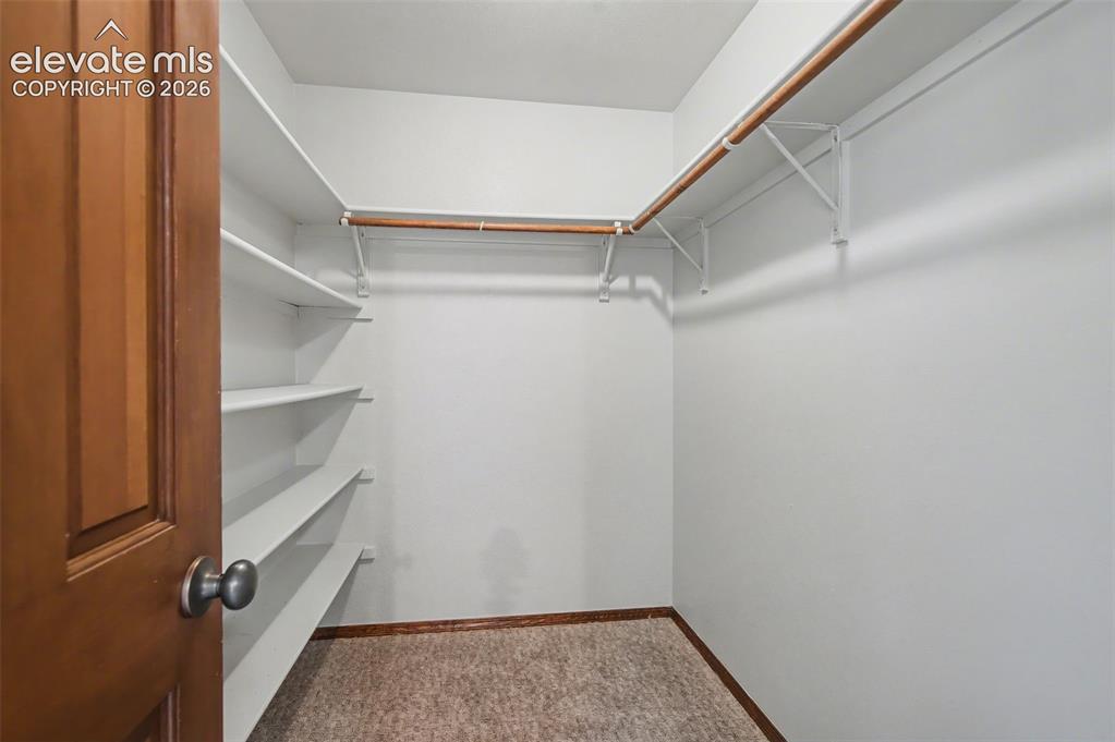 230 Blue Garter Way Monument CO 80132