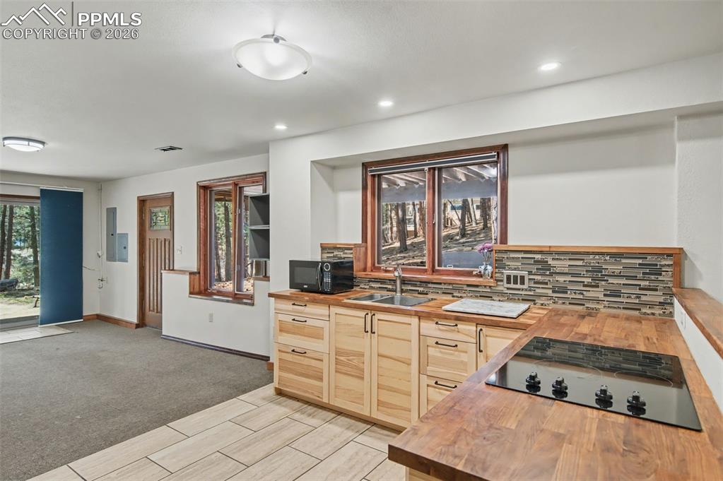 230 Blue Garter Way Monument CO 80132