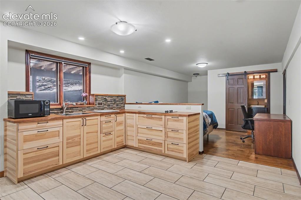230 Blue Garter Way Monument CO 80132