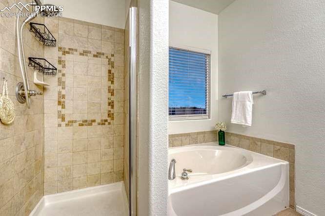 12365 Point Reyes Drive Peyton CO 80831