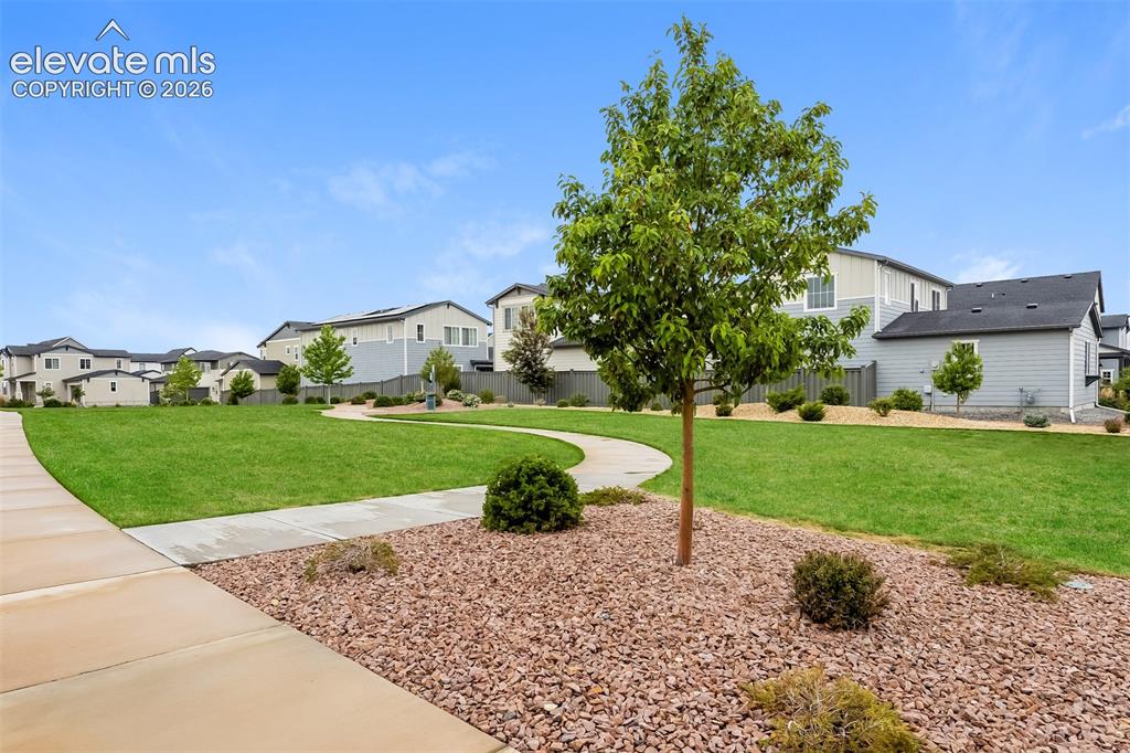 5833 Spring Breeze Drive Colorado Springs CO 80923