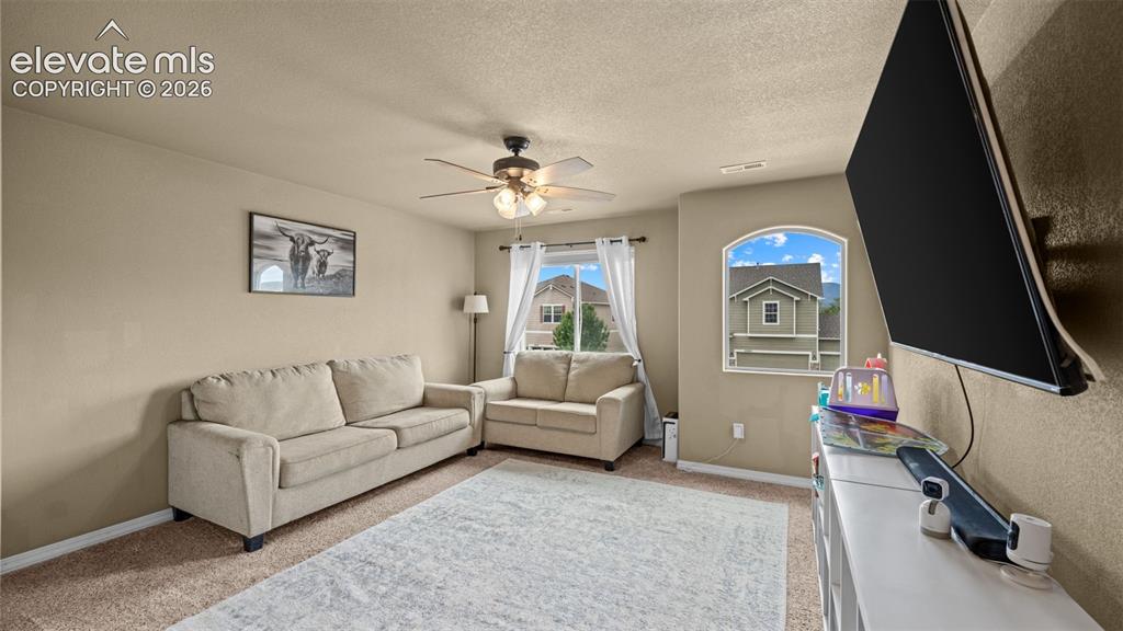 10857 Hidden Prairie Parkway Fountain CO 80817