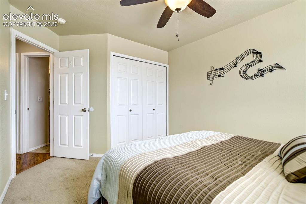 4860 Feathers Way Colorado Springs CO 80922