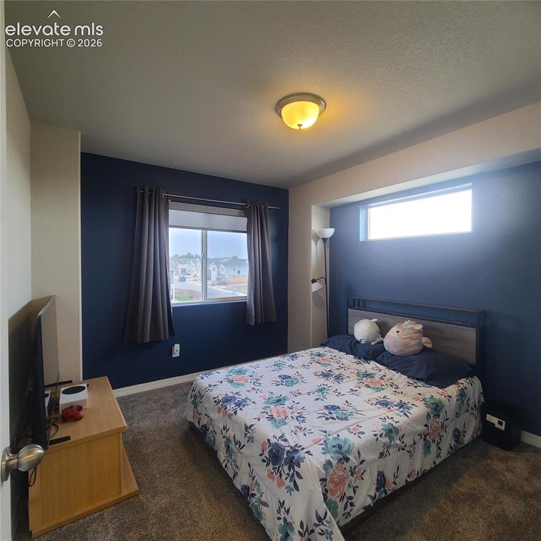 8088 Nico Way Peyton CO 80831