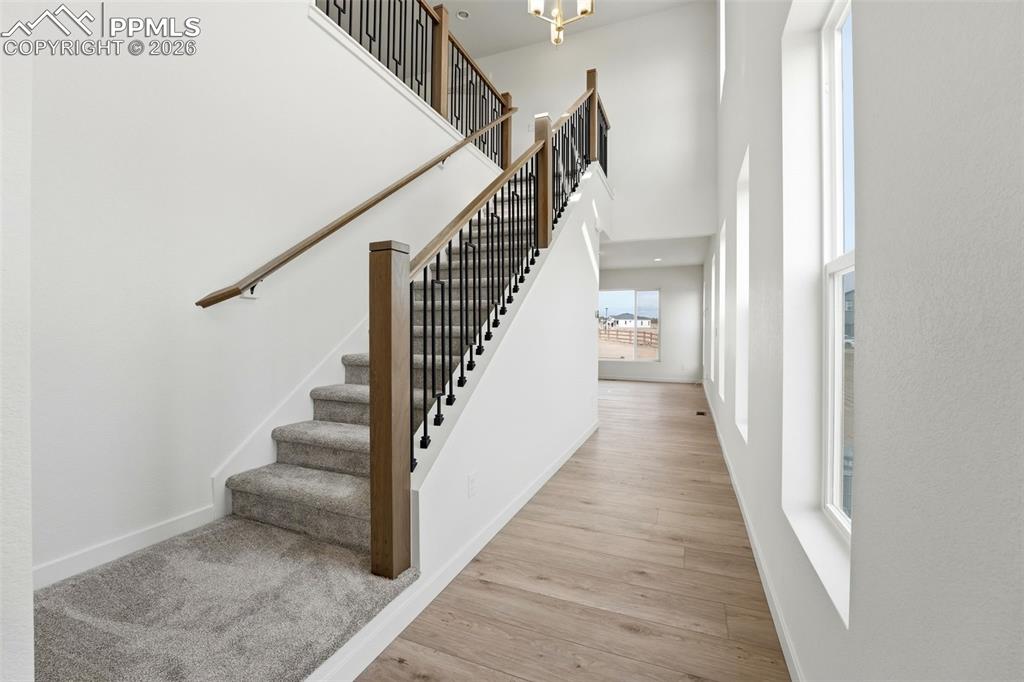 10243 Newfangled Way Colorado Springs CO 80924