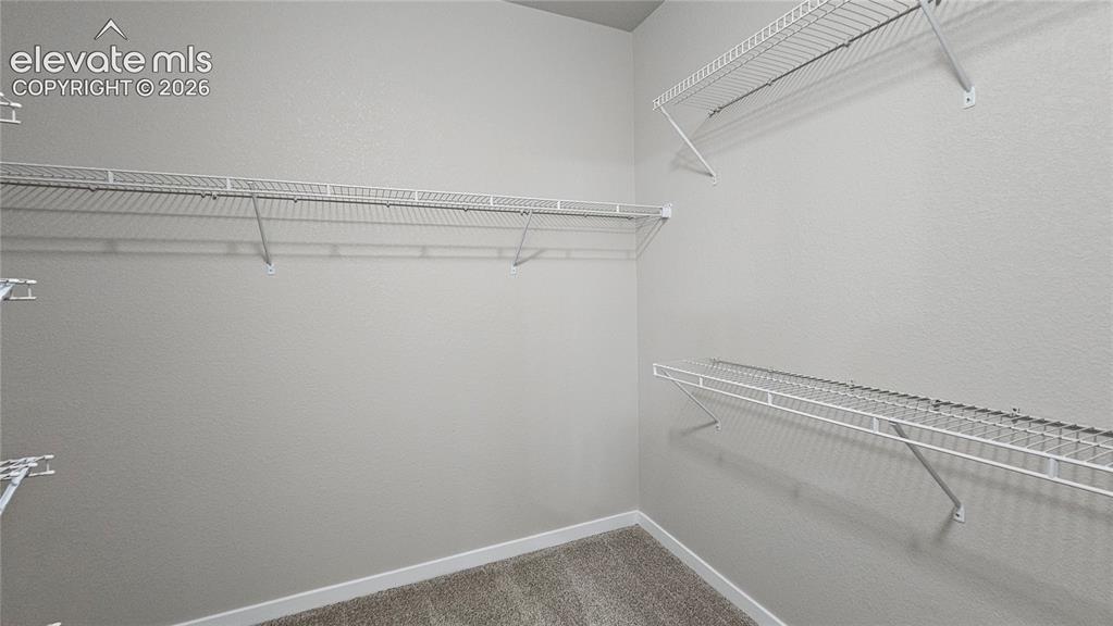 7773 Dry Willow Way Colorado Springs CO 80908