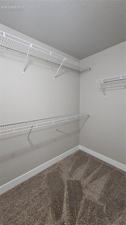 7773 Dry Willow Way Colorado Springs CO 80908