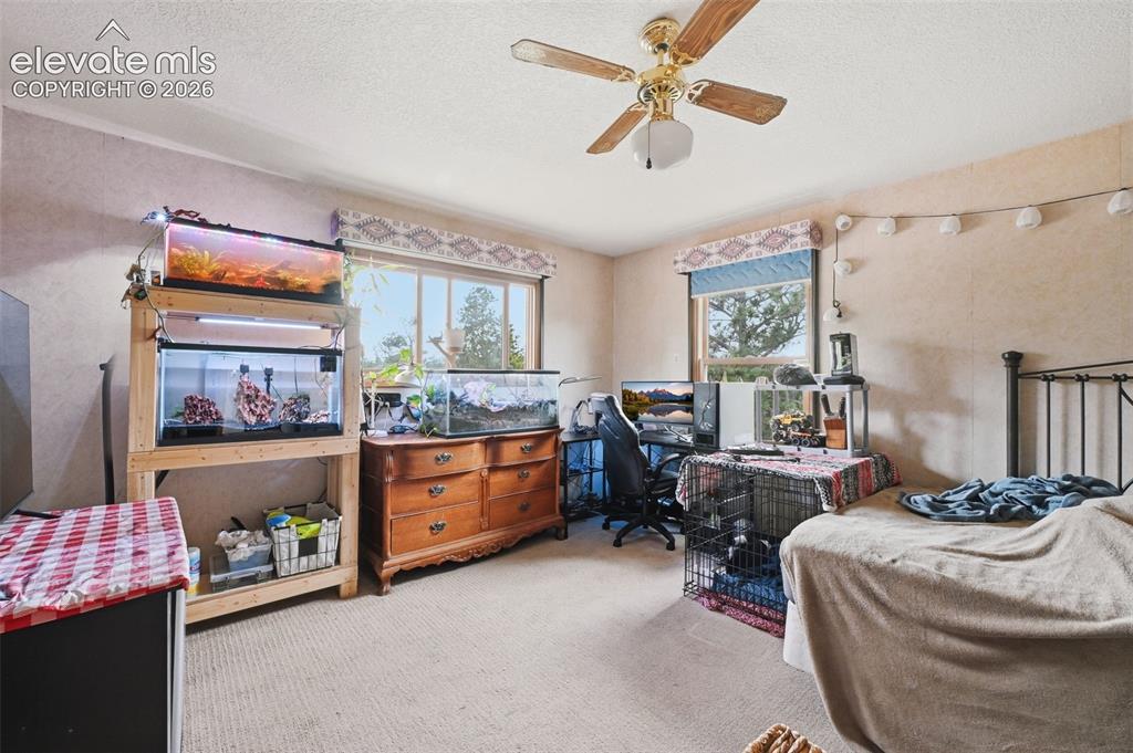 19340 Shadowood Drive Monument CO 80132