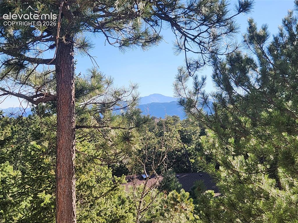 19340 Shadowood Drive Monument CO 80132