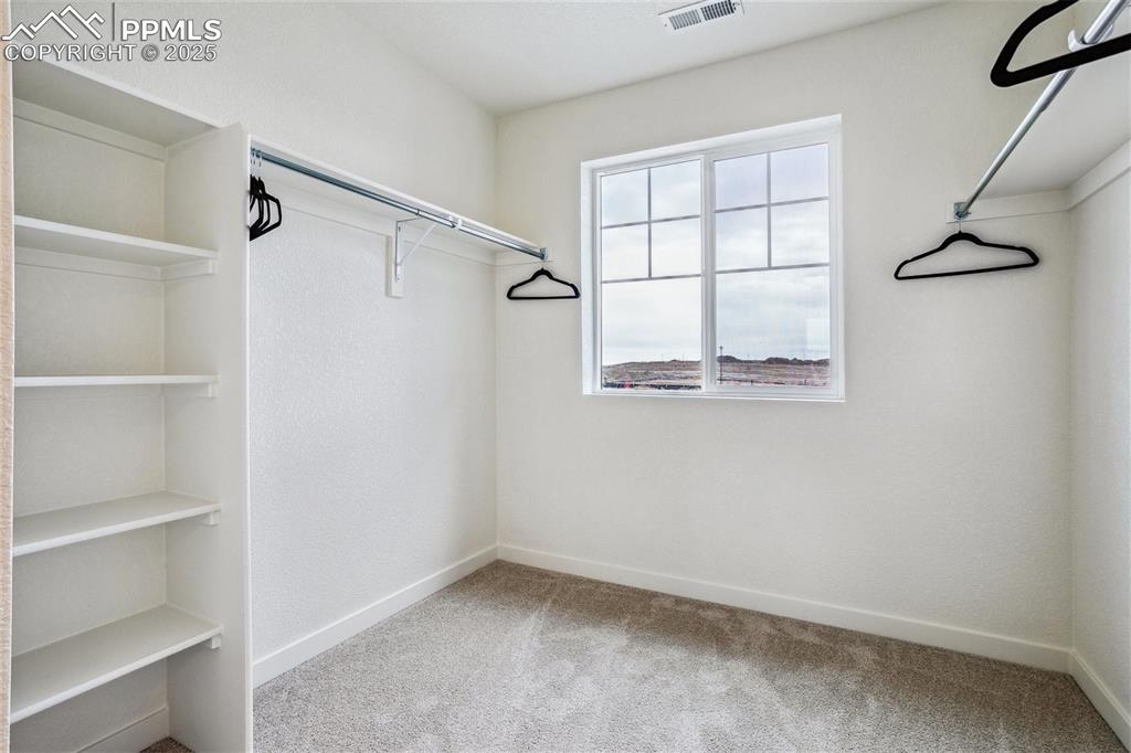 6128 Alpine Ridge Drive Colorado Springs CO 80925