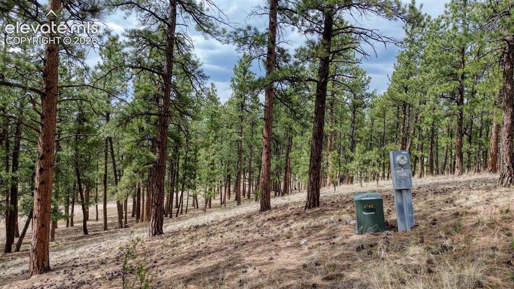 453 Black Fawn Lane Westcliffe CO 81252