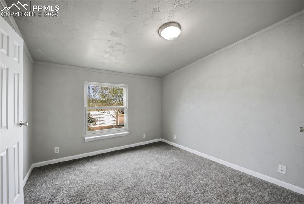 5705 John Ross Court Peyton CO 80831