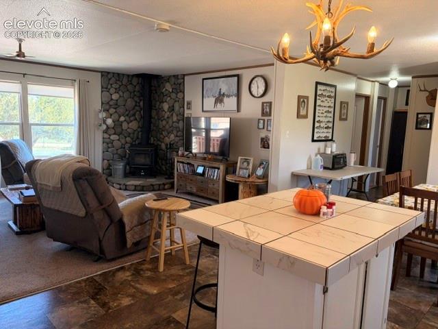 8084 Oak Drive Rye CO 81069